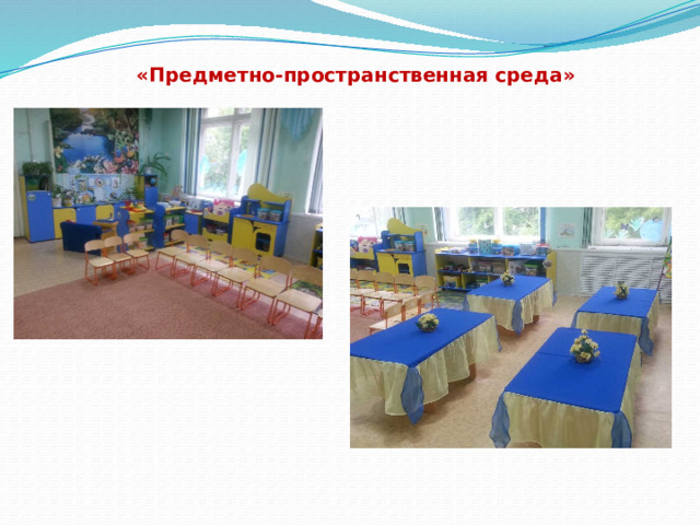 «Предметно-пространственная среда» 
