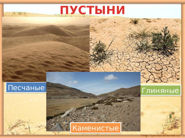 ПУСТЫНИ Песчаные Глиняные Каменистые 