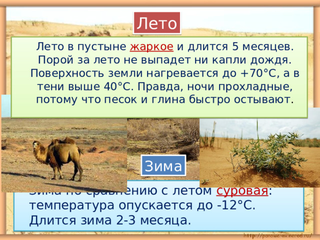 Лето  Лето в пустыне жаркое и длится 5 месяцев. Порой за лето не выпадет ни капли дождя. Поверхность земли нагревается до +70°С, а в тени выше 40°С. Правда, ночи прохладные, потому что песок и глина быстро остывают . Зима  Зима по сравнению с летом суровая : температура опускается до -12°С. Длится зима 2-3 месяца. 