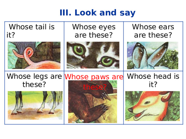 III. Look and say  Whose tail is it? Whose eyes are these? Whose legs are these? Whose ears are these? Whose head is it? Whose paws are  these? 