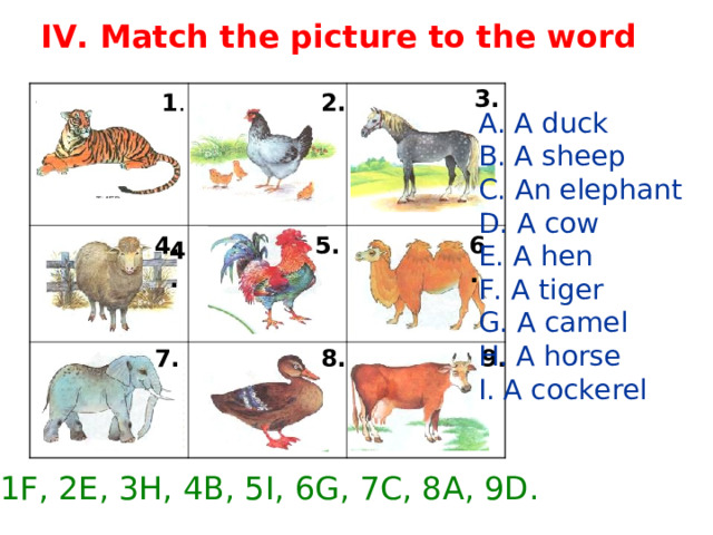 IV. Match the picture to the word 3. 1 . 2. A. A duck B. A sheep C. An elephant D. A cow E. A hen F. A tiger G. A camel H. A horse I. A cockerel 4. 6. 5. 4. 7. 8. 9. 1F, 2E, 3H, 4B, 5I, 6G, 7C, 8A, 9D. 