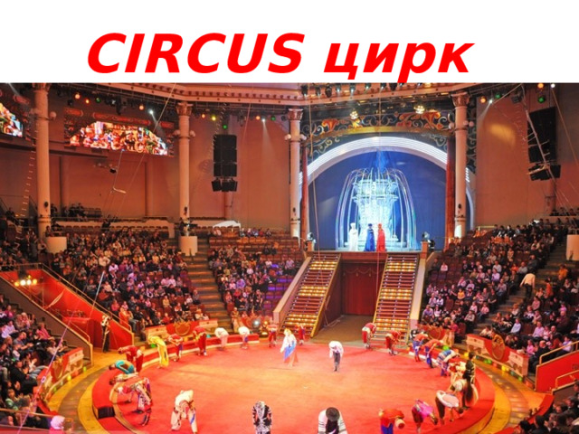 CIRCUS цирк 