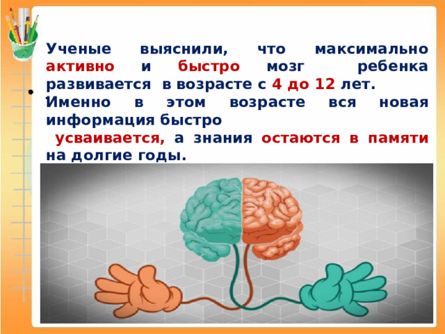 Ученые выяснили, что максимально активно и быстро мозг ребенка развивается в возрасте с 4 до 12 лет. Именно в этом возрасте вся новая информация быстро  усваивается, а знания остаются в памяти на долгие годы. 