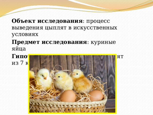 Объект исследования : процесс выведения цыплят в искусственных условиях Предмет исследования : куриные яйца Гипотеза : планирую вывести цыплят из 7 куриных яиц за 21 день 