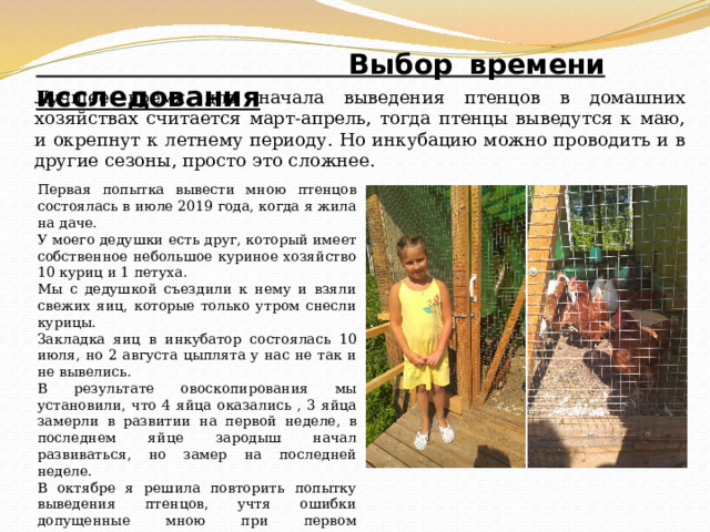  Выбор времени исследования Лучшее время для начала выведения птенцов в домашних хозяйствах считается март-апрель, тогда птенцы выведутся к маю, и окрепнут к летнему периоду. Но инкубацию можно проводить и в другие сезоны, просто это сложнее. Первая попытка вывести мною птенцов состоялась в июле 2019 года, когда я жила на даче. У моего дедушки есть друг, который имеет собственное небольшое куриное хозяйство 10 куриц и 1 петуха. Мы с дедушкой съездили к нему и взяли свежих яиц, которые только утром снесли курицы. Закладка яиц в инкубатор состоялась 10 июля, но 2 августа цыплята у нас не так и не вывелись. В результате овоскопирования мы установили, что 4 яйца оказались , 3 яйца замерли в развитии на первой неделе, в последнем яйце зародыш начал развиваться, но замер на последней неделе. В октябре я решила повторить попытку выведения птенцов, учтя ошибки допущенные мною при первом эксперименте. 