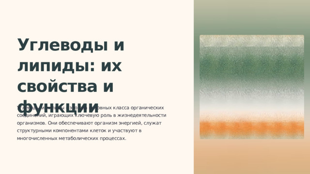  Углеводы и липиды: их свойства и функции Углеводы и липиды – это два основных класса органических соединений, играющих ключевую роль в жизнедеятельности организмов. Они обеспечивают организм энергией, служат структурными компонентами клеток и участвуют в многочисленных метаболических процессах. 