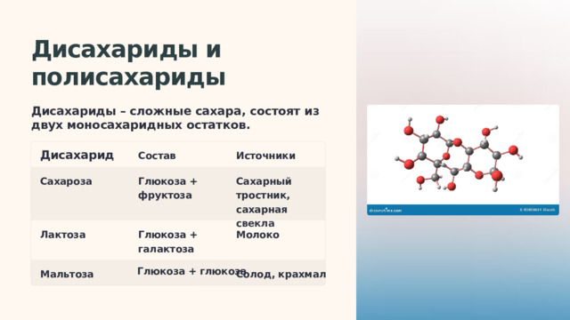  Дисахариды и полисахариды Дисахариды – сложные сахара, состоят из двух моносахаридных остатков. Дисахарид Состав Источники Сахарный тростник, сахарная свекла Сахароза Глюкоза + фруктоза Лактоза Глюкоза + галактоза Молоко Глюкоза + глюкоза Мальтоза Солод, крахмал 