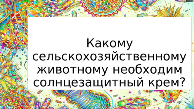 Какому сельскохозяйственному животному необходим солнцезащитный крем?  