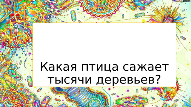 Какая птица сажает тысячи деревьев?  