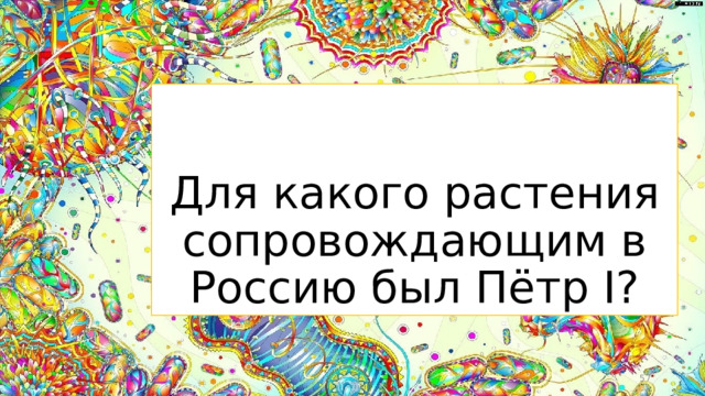 Для какого растения сопровождающим в Россию был Пётр I?  