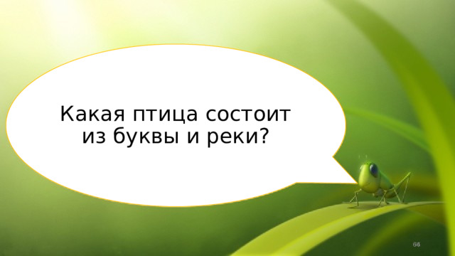 Какая птица состоит из буквы и реки?  