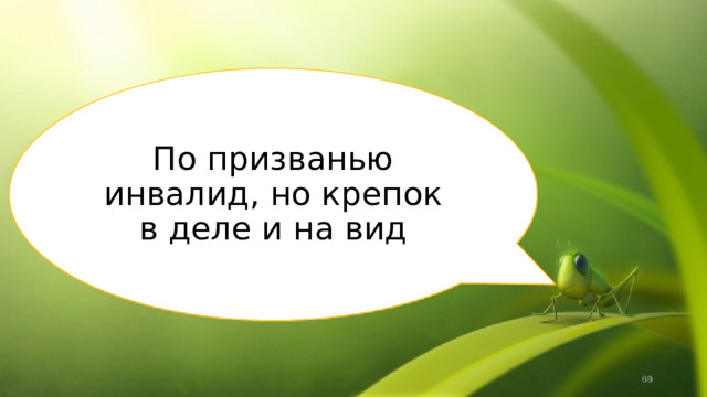 По призванью инвалид, но крепок в деле и на вид  