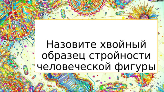 Назовите хвойный образец стройности человеческой фигуры  