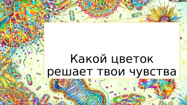 Какой цветок решает твои чувства  