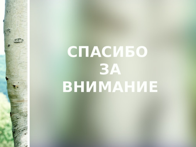 СПАСИБО  ЗА  ВНИМАНИЕ 