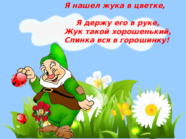 Я нашел жука в цветке,  Я держу его в руке,  Жук такой хорошенький,  Спинка вся в горошинку! 