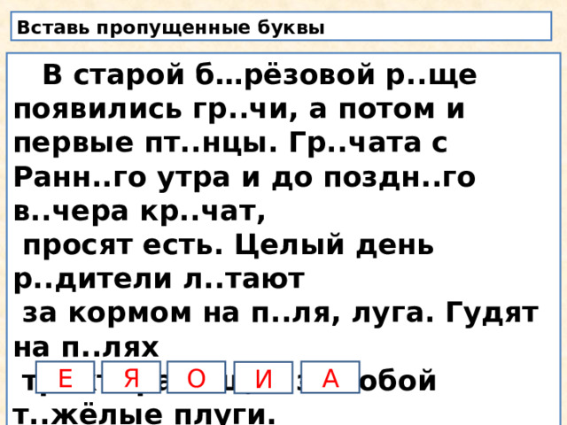 Вставь пропущенные буквы  В старой б…рёзовой р..ще появились гр..чи, а потом и первые пт..нцы. Гр..чата с Ранн..го утра и до поздн..го в..чера кр..чат,  просят есть. Целый день р..дители л..тают  за кормом на п..ля, луга. Гудят на п..лях  тракт..ра тащат за собой т..жёлые плуги.  Гр..чи ходят по пашне и выбирают жучков  ч..рвячков л..чинок. Е Я О А И 