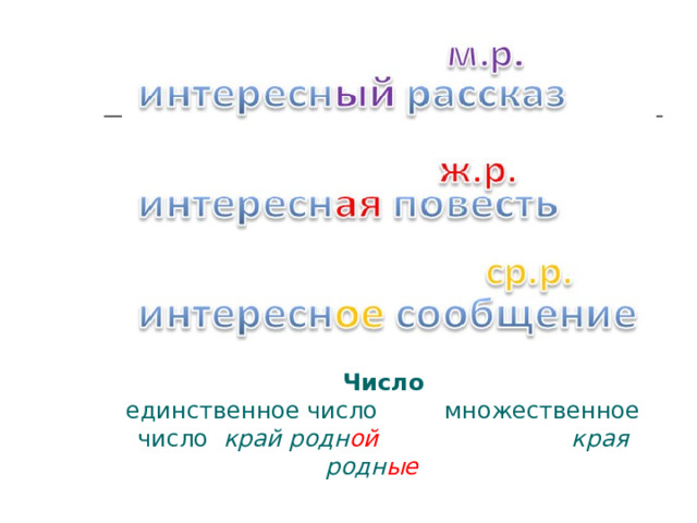 Число  единственное число множественное число край родн ой края родн ые  
