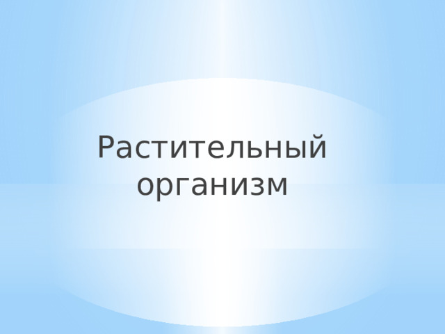 Растительный организм 
