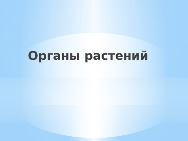 Органы растений  