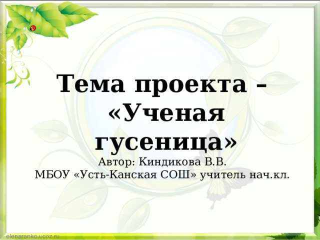 Тема проекта – «Ученая гусеница» Автор: Киндикова В.В. МБОУ «Усть-Канская СОШ» учитель нач.кл. 
