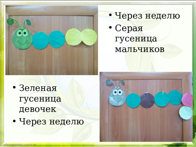Через неделю Серая гусеница мальчиков  Зеленая гусеница девочек Через неделю  