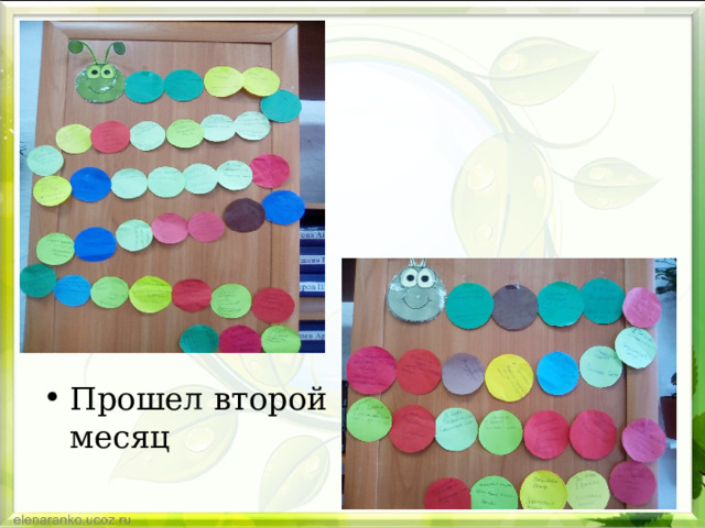 Прошел второй месяц 