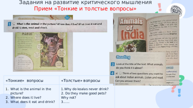  Задания на развитие критического мышления  Прием «Тонкие и толстые вопросы» «Тонкие» вопросы What is the animal in the picture? Where does it live? What does it eat and drink? «Толстые» вопросы 1.Why do koalas never drink? 2. Do they make good pets? Why not? 3…… 