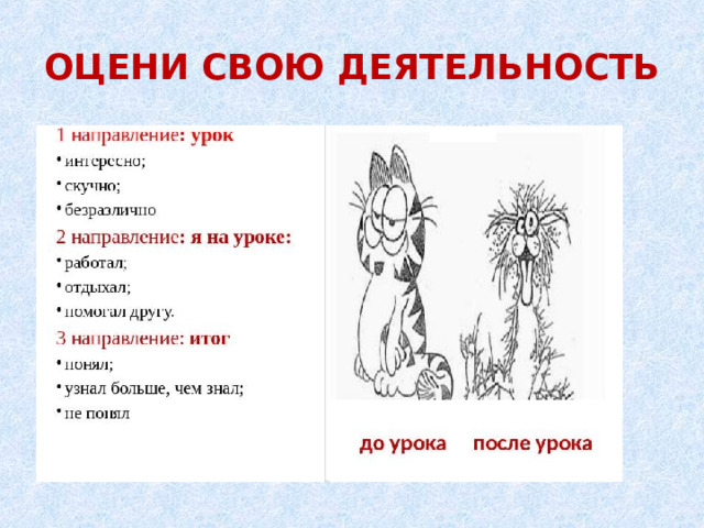 ОЦЕНИ СВОЮ ДЕЯТЕЛЬНОСТЬ  