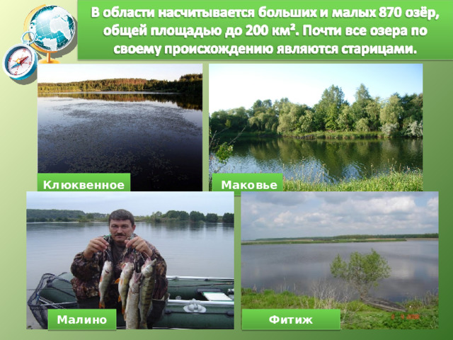 Клюквенное  Маковье Малино Фитиж 