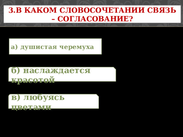 3.В каком словосочетании связь – согласование? а) душистая черемуха б) наслаждается красотой в) любуясь цветами 