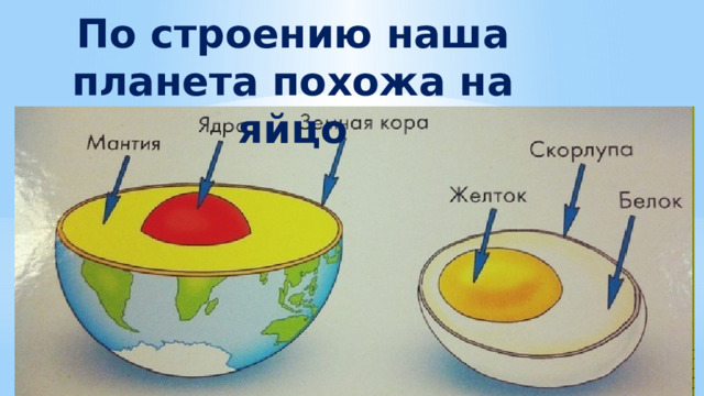 По строению наша планета похожа на яйцо 