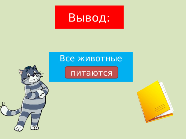 Вывод: Все животные питаются 