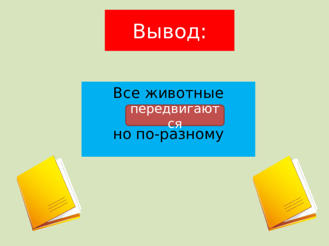 Вывод: Все животные но по-разному передвигаются 