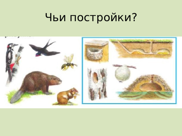 Чьи постройки? 