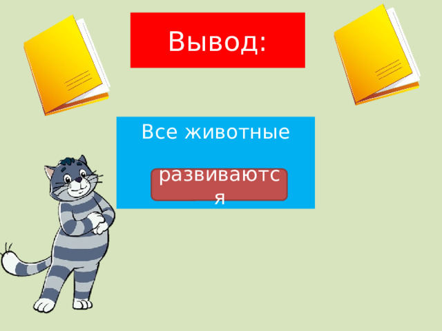 Вывод: Все животные развиваются 