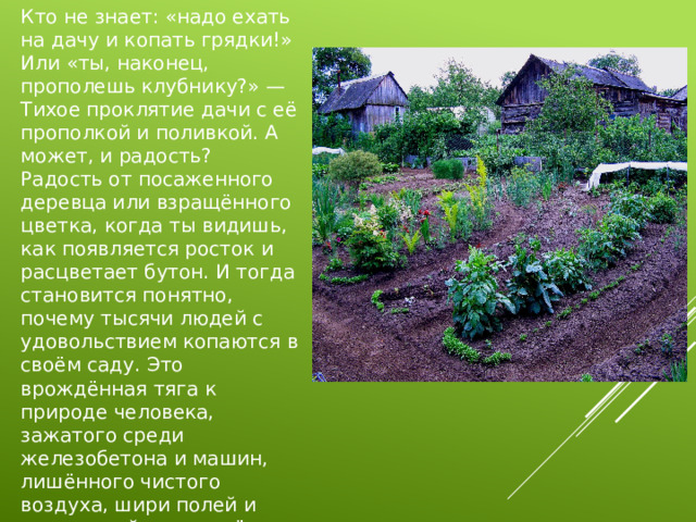 Кто не знает: «надо ехать на дачу и копать грядки!» Или «ты, наконец, прополешь клубнику?» — Тихое проклятие дачи с её прополкой и поливкой. А может, и радость?  Радость от посаженного деревца или взращённого цветка, когда ты видишь, как появляется росток и расцветает бутон. И тогда становится понятно, почему тысячи людей с удовольствием копаются в своём саду. Это врождённая тяга к природе человека, зажатого среди железобетона и машин, лишённого чистого воздуха, шири полей и зеркальной глади озёр.   