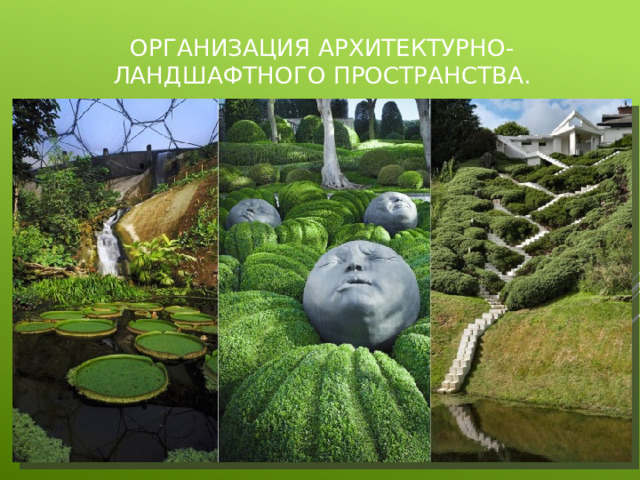   Организация архитектурно-ландшафтного пространства.   