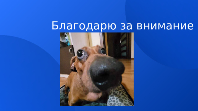 Благодарю за внимание 