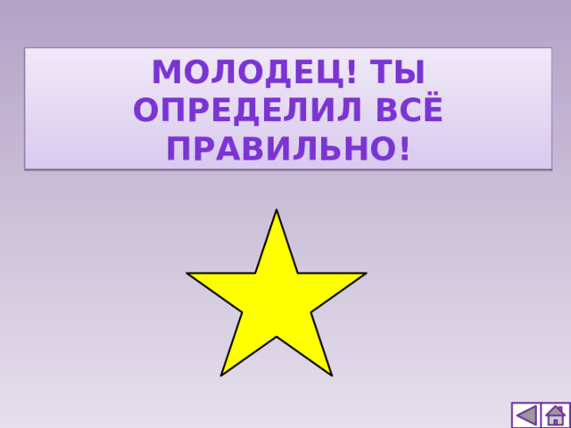 Молодец! Ты определил всё правильно!  