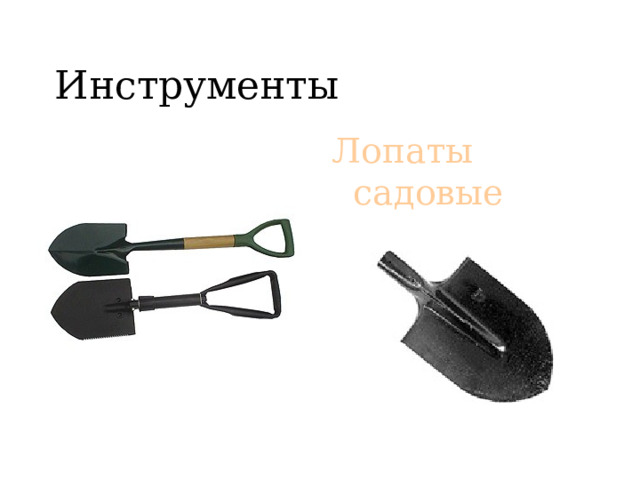 Инструменты Лопаты садовые 