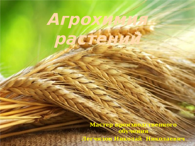 Агрохимия растений Мастер производственного обучения Легчилов Николай Николаевич 