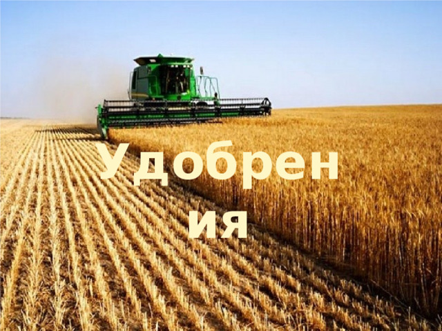 Удобрения 