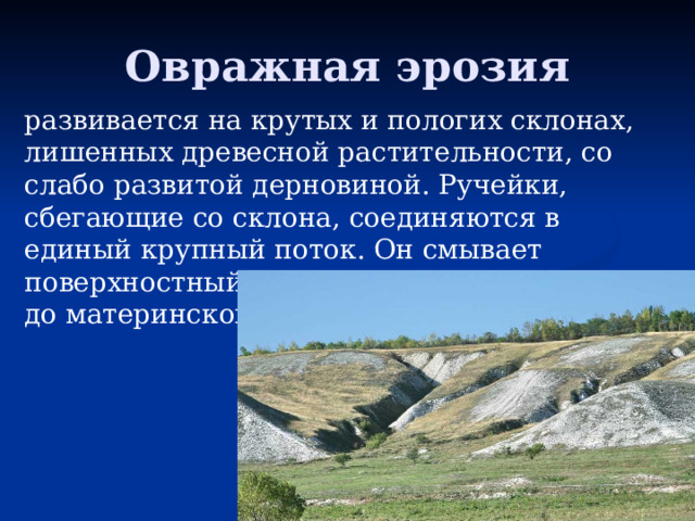  Овражная эрозия развивается на крутых и пологих склонах, лишенных древесной растительности, со слабо развитой дерновиной. Ручейки, сбегающие со склона, соединяются в единый крупный поток. Он смывает поверхностный слой почвы, углубляет дно до материнской породы, подмывает берега. 