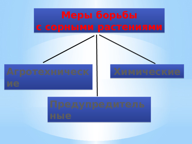 Меры борьбы  с сорными растениями Агротехнические Химические Предупредительные 