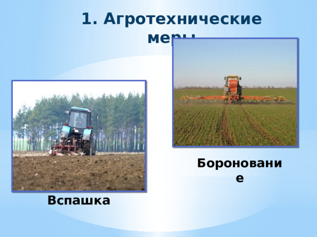 1. Агротехнические меры Боронование Вспашка 