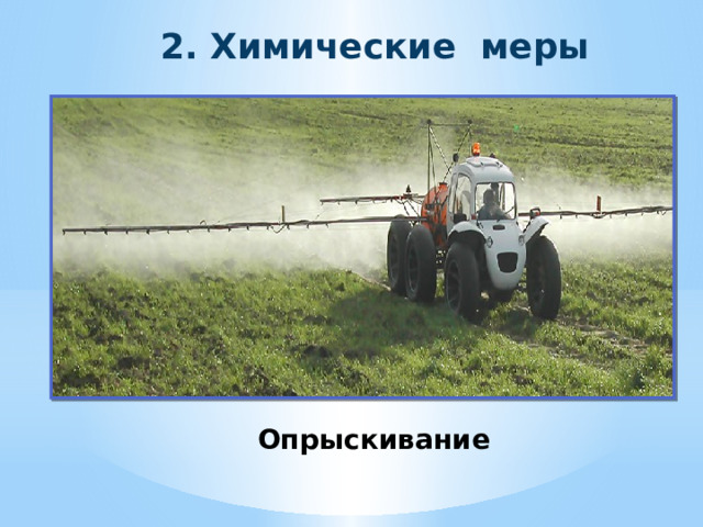 2. Химические меры Опрыскивание 