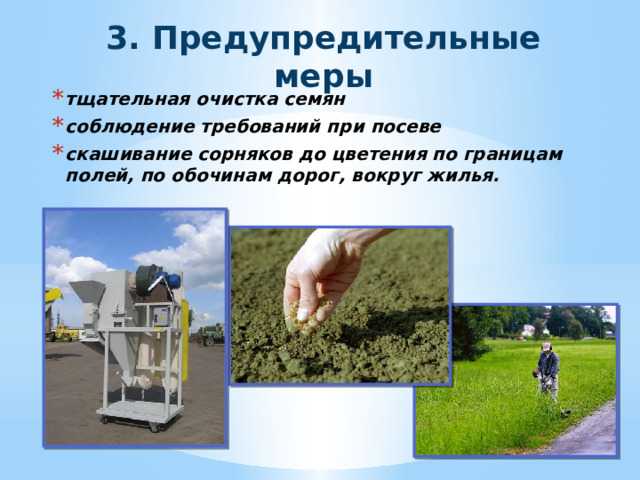 3. Предупредительные меры тщательная очистка семян соблюдение требований при посеве скашивание сорняков до цветения по границам полей, по обочинам дорог, вокруг жилья. 