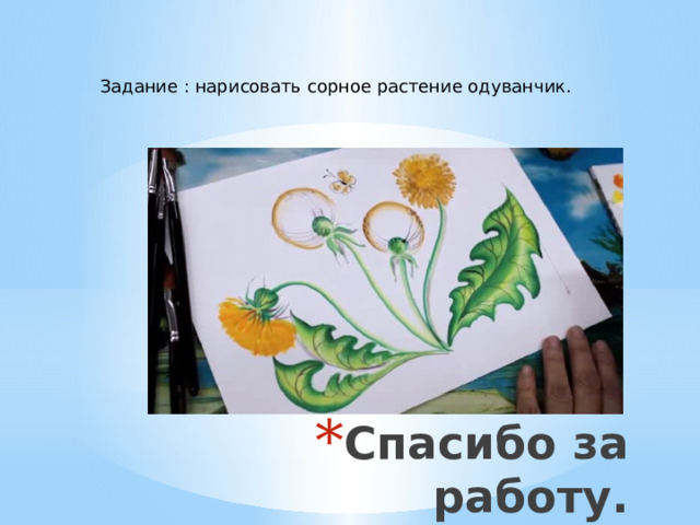 Задание : нарисовать сорное растение одуванчик. Спасибо за работу. 