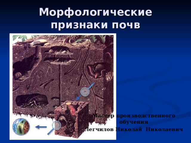 Морфологические признаки почв Мастер производственного обучения Легчилов Николай Николаевич 